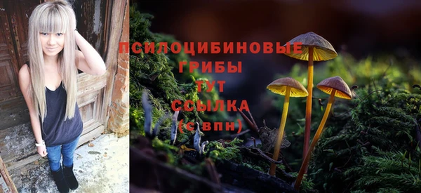 ALPHA-PVP Остров