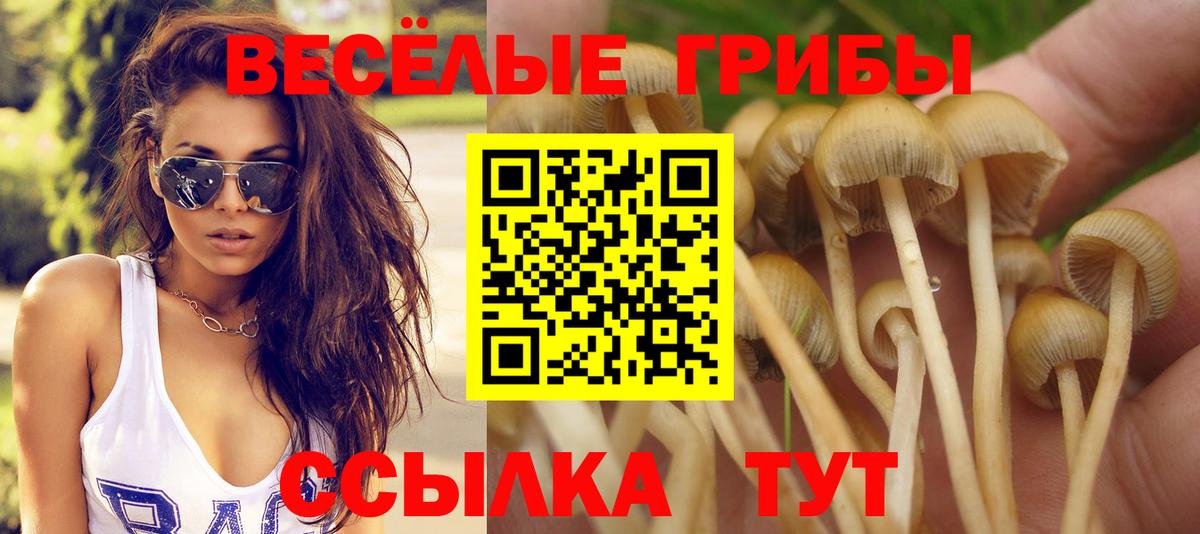 Галлюциногенные грибы GOLDEN TEACHER  Галлюциногенные грибы ЛСД  Вход с VPN  Богородицк 