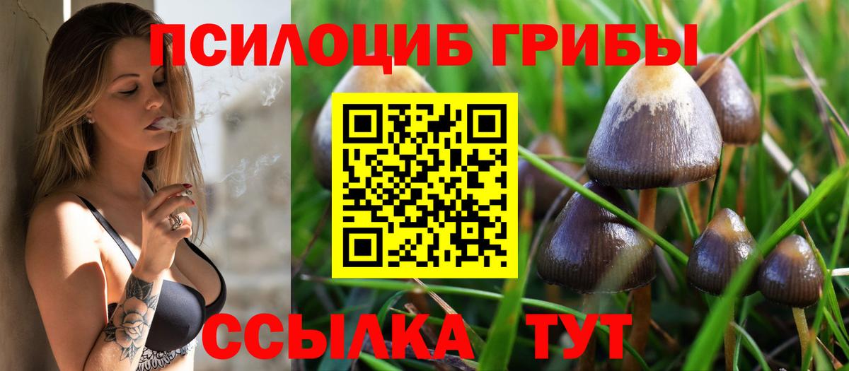 Псилоцибиновые грибы ЛСД Богородицк